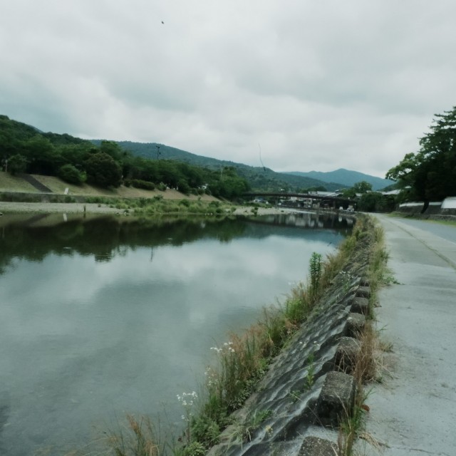f:id:samete_yume:20240623014559j:image