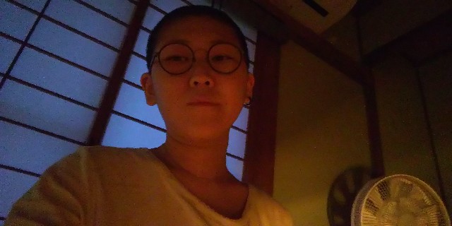 f:id:samete_yume:20240712045123j:image