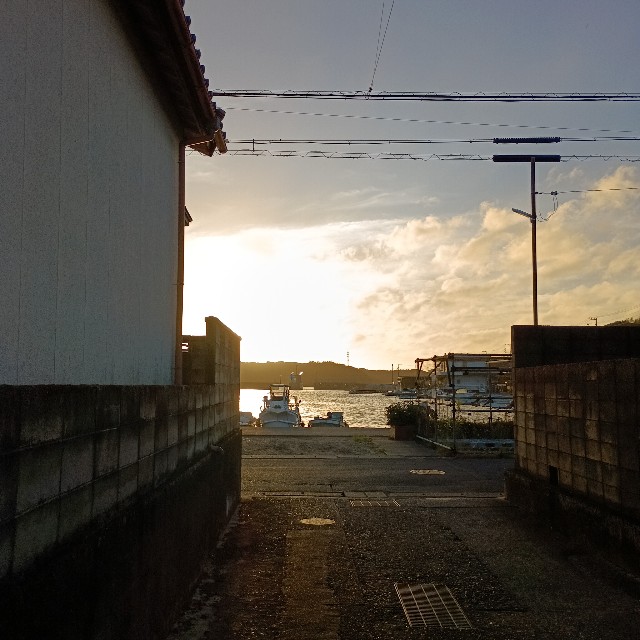 f:id:samete_yume:20240925140828j:image