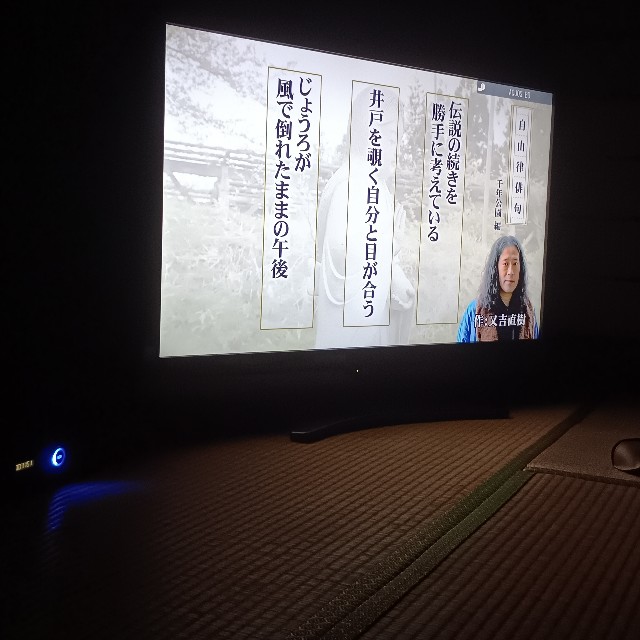 f:id:samete_yume:20241007184723j:image