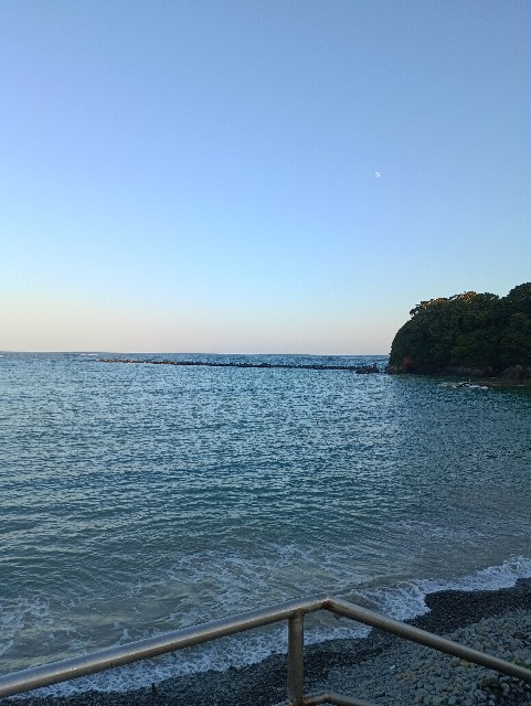 f:id:samete_yume:20241014001742j:image