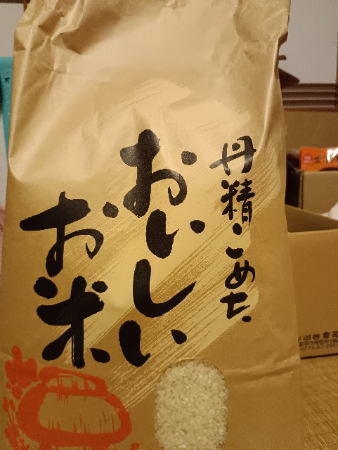 f:id:samete_yume:20241030190144j:image