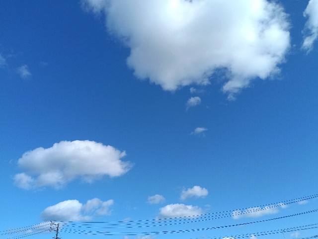 f:id:samete_yume:20241119235508j:image f:id:samete_yume:20241119235508j:image