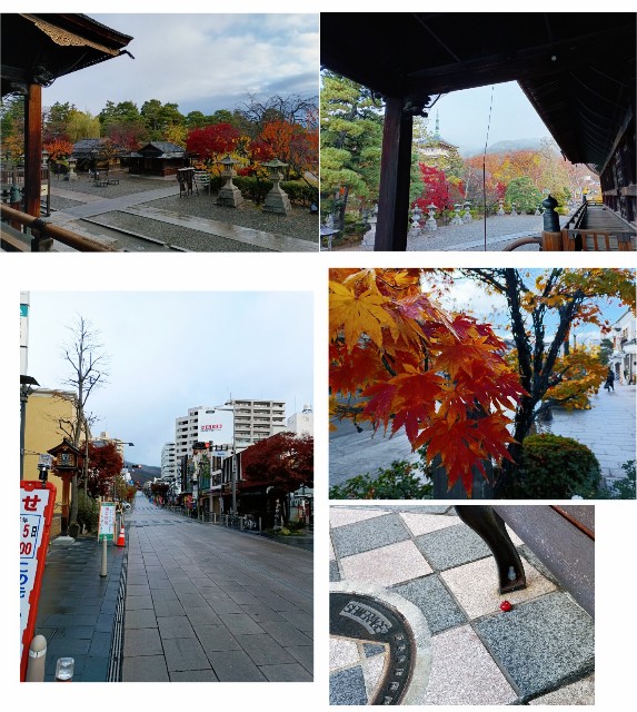 f:id:samete_yume:20241120002037j:image