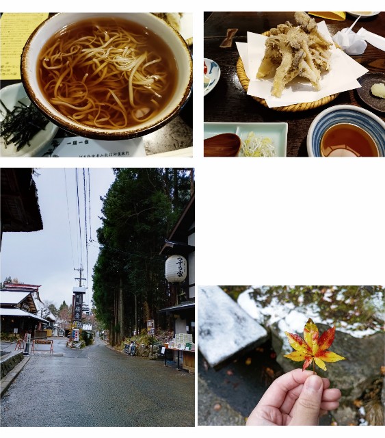 f:id:samete_yume:20241120002538j:image