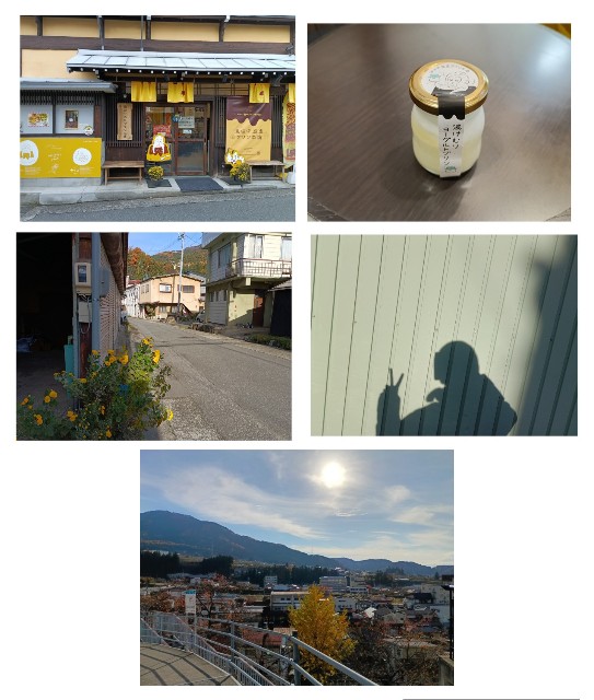 f:id:samete_yume:20241121062515j:image