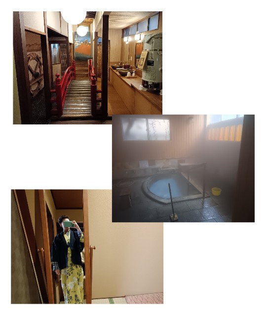 f:id:samete_yume:20241121062540j:image