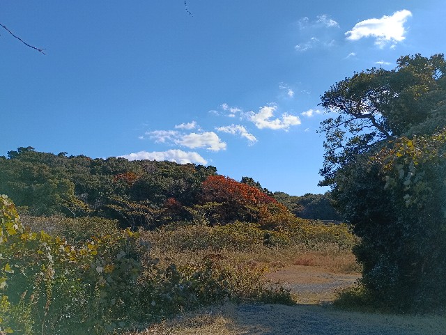 f:id:samete_yume:20241218182018j:image f:id:samete_yume:20241218182018j:image