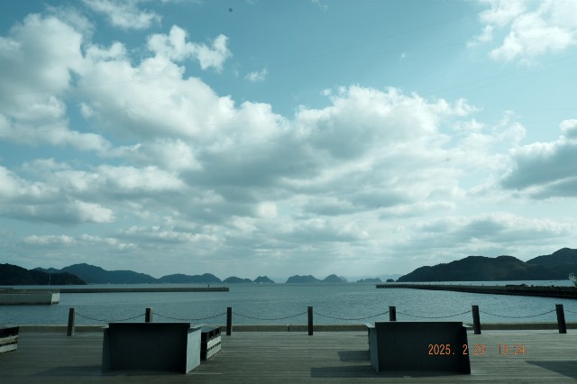 f:id:samete_yume:20250221064836j:image