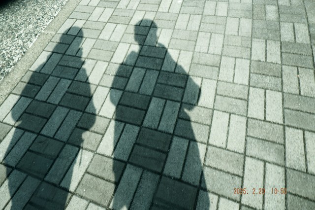 f:id:samete_yume:20250221065709j:image