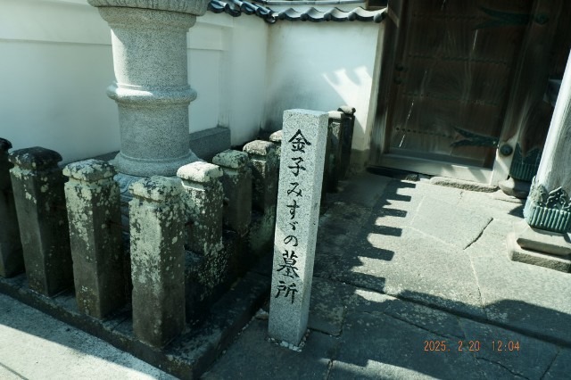 f:id:samete_yume:20250221070458j:image