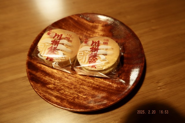 f:id:samete_yume:20250221092302j:image