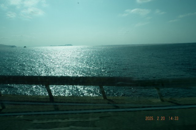 f:id:samete_yume:20250221095123j:image