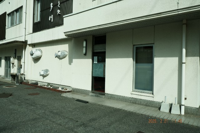 f:id:samete_yume:20250305212813j:image