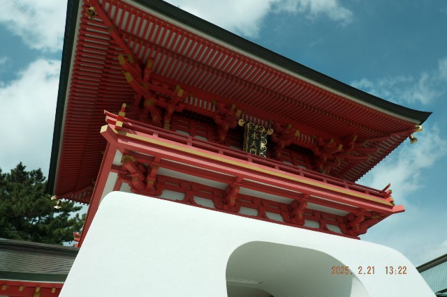 f:id:samete_yume:20250305212959j:image