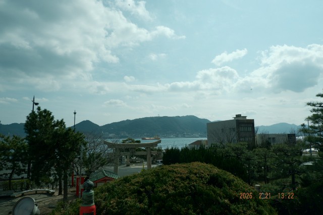 f:id:samete_yume:20250305213101j:image