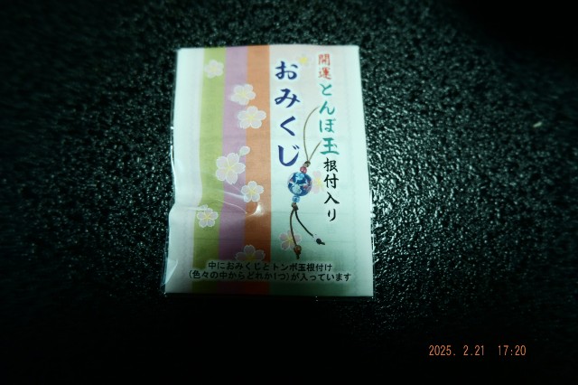 f:id:samete_yume:20250305213128j:image