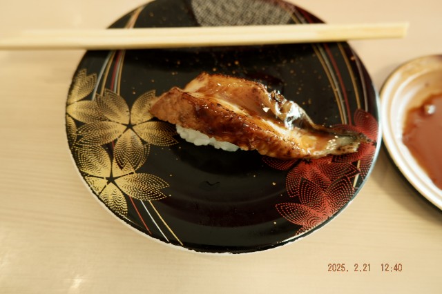 f:id:samete_yume:20250305213338j:image