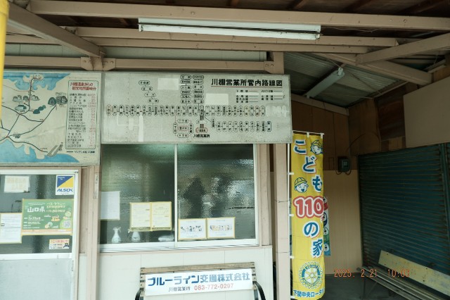 f:id:samete_yume:20250305213550j:image