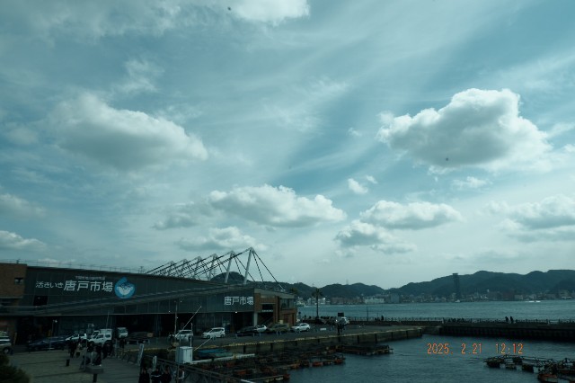 f:id:samete_yume:20250305222421j:image