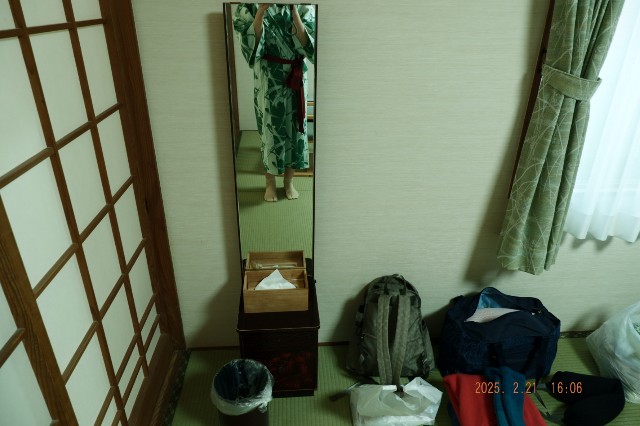 f:id:samete_yume:20250305223109j:image