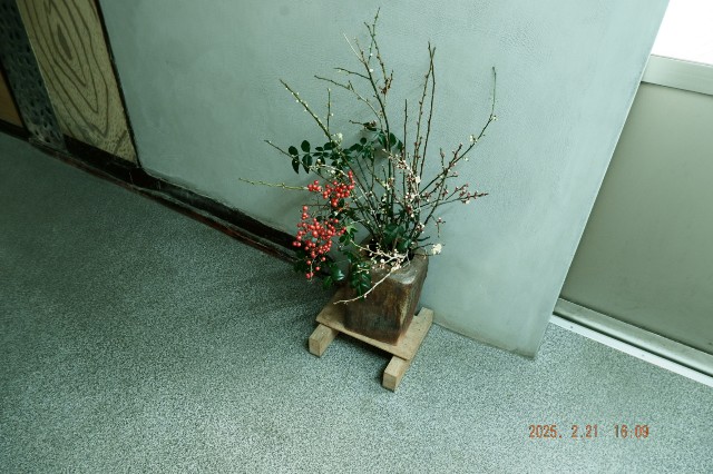 f:id:samete_yume:20250305223254j:image
