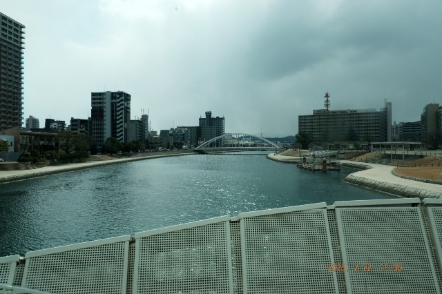 f:id:samete_yume:20250306013415j:image