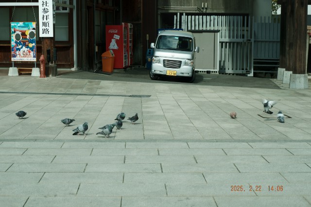 f:id:samete_yume:20250306014013j:image