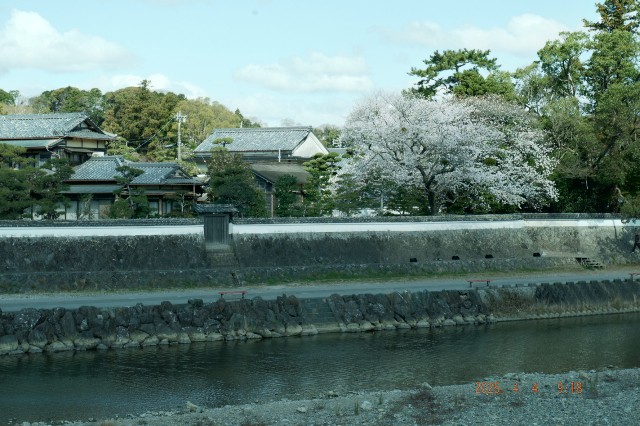 f:id:samete_yume:20250405111023j:image