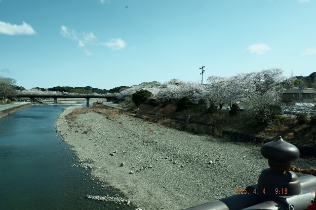 f:id:samete_yume:20250405111037j:image