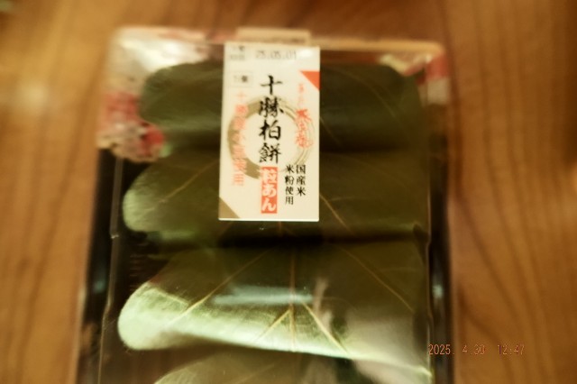 f:id:samete_yume:20250507031147j:image