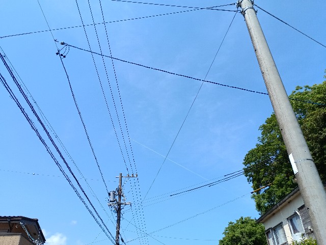 f:id:samete_yume:20250514232222j:image
