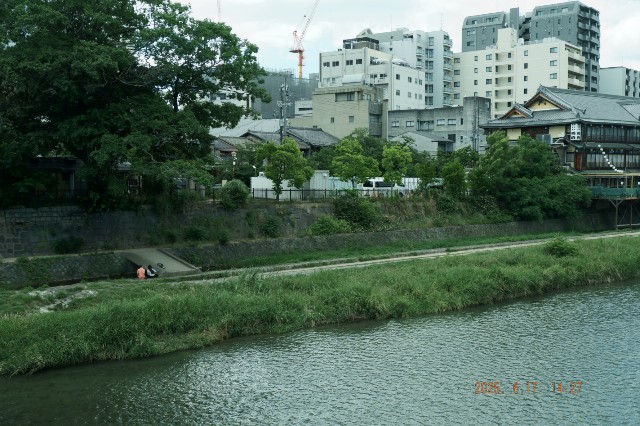 f:id:samete_yume:20250622195501j:image