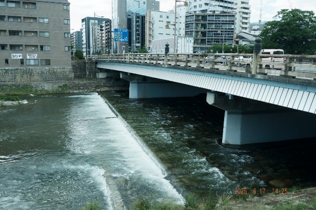 f:id:samete_yume:20250622195510j:image