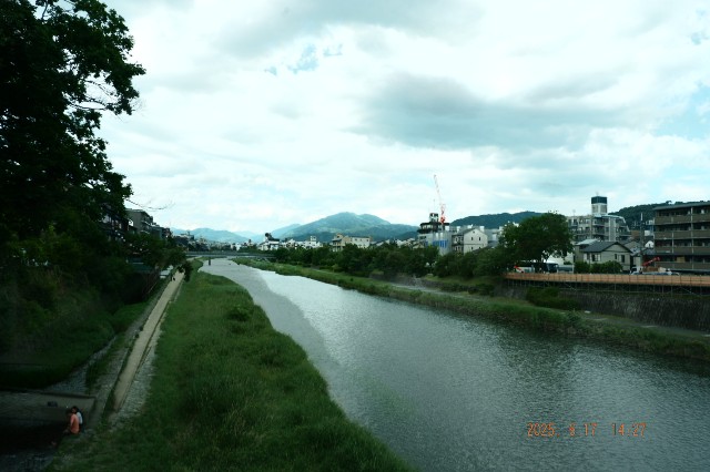 f:id:samete_yume:20250622195526j:image