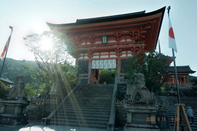 f:id:samete_yume:20250623021329j:image