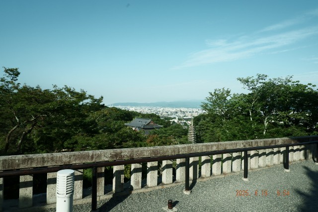 f:id:samete_yume:20250623021715j:image