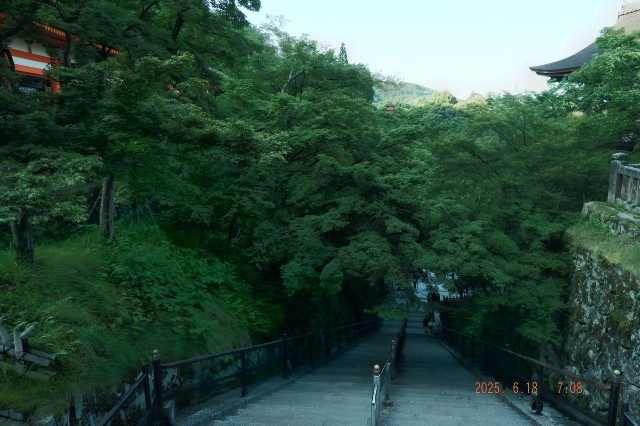 f:id:samete_yume:20250623021745j:image