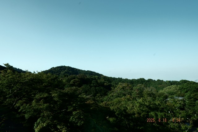 f:id:samete_yume:20250623021758j:image