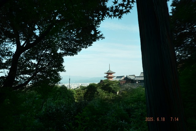 f:id:samete_yume:20250623021940j:image