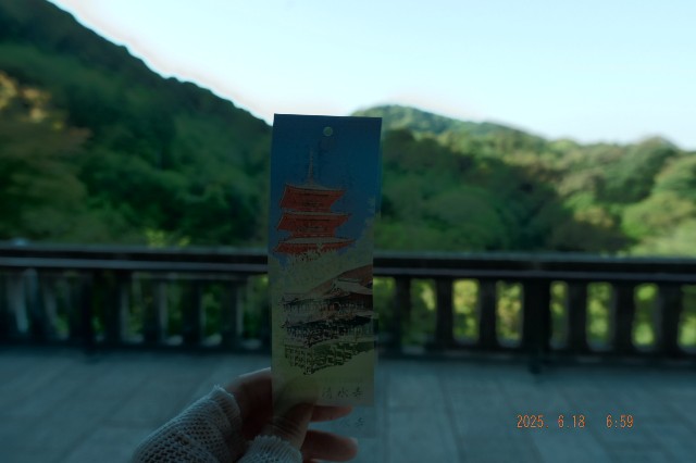 f:id:samete_yume:20250623021958j:image