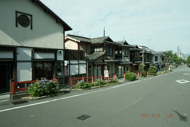 f:id:samete_yume:20250623023604j:image