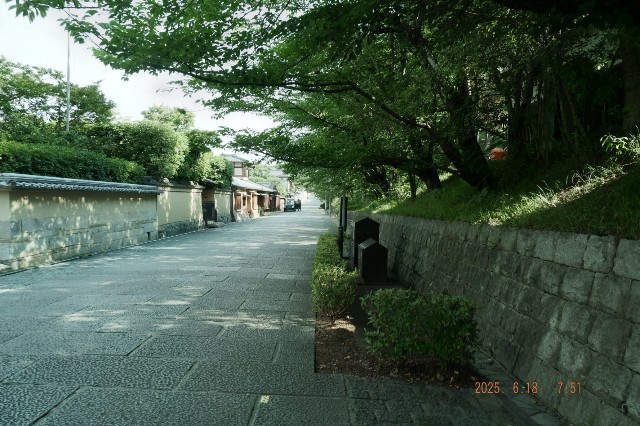 f:id:samete_yume:20250623023823j:image