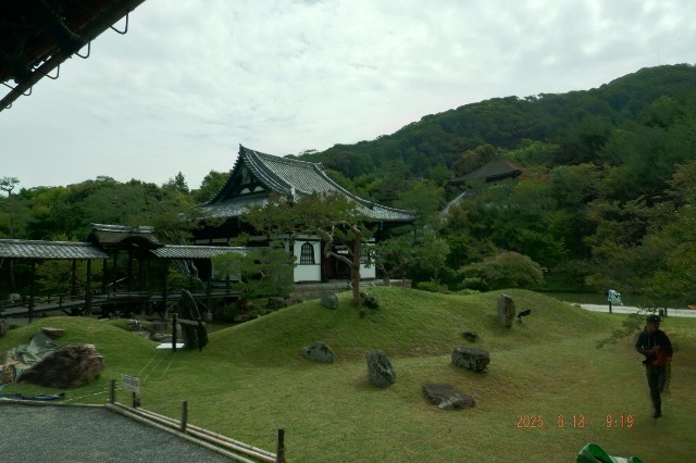 f:id:samete_yume:20250623060351j:image