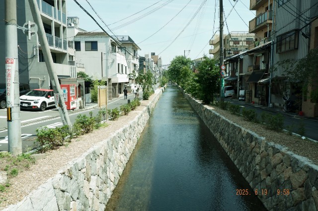 f:id:samete_yume:20250623061334j:image