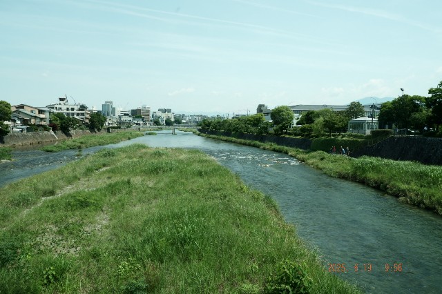 f:id:samete_yume:20250623061408j:image