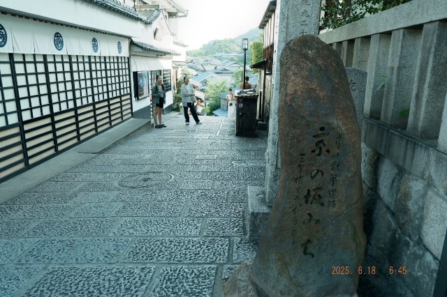 f:id:samete_yume:20250626012105j:image