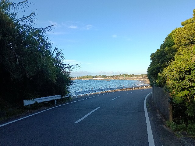 f:id:samete_yume:20250729143850j:image