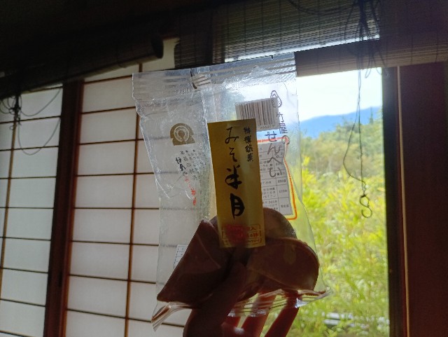 f:id:samete_yume:20250903175640j:image