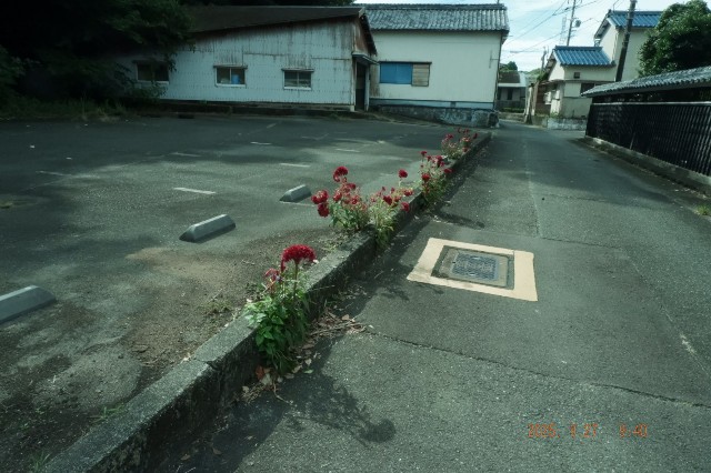 f:id:samete_yume:20251012130415j:image